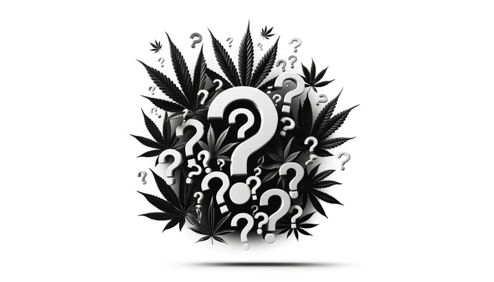 The Meaning Behind 510 in the Cannabis Community