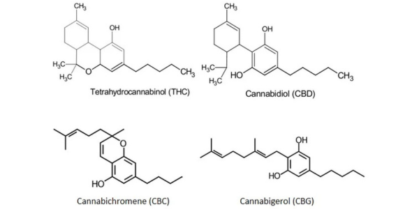 What is CBC? Exploring the Hidden Power of Cannabichromene – E10 Labs