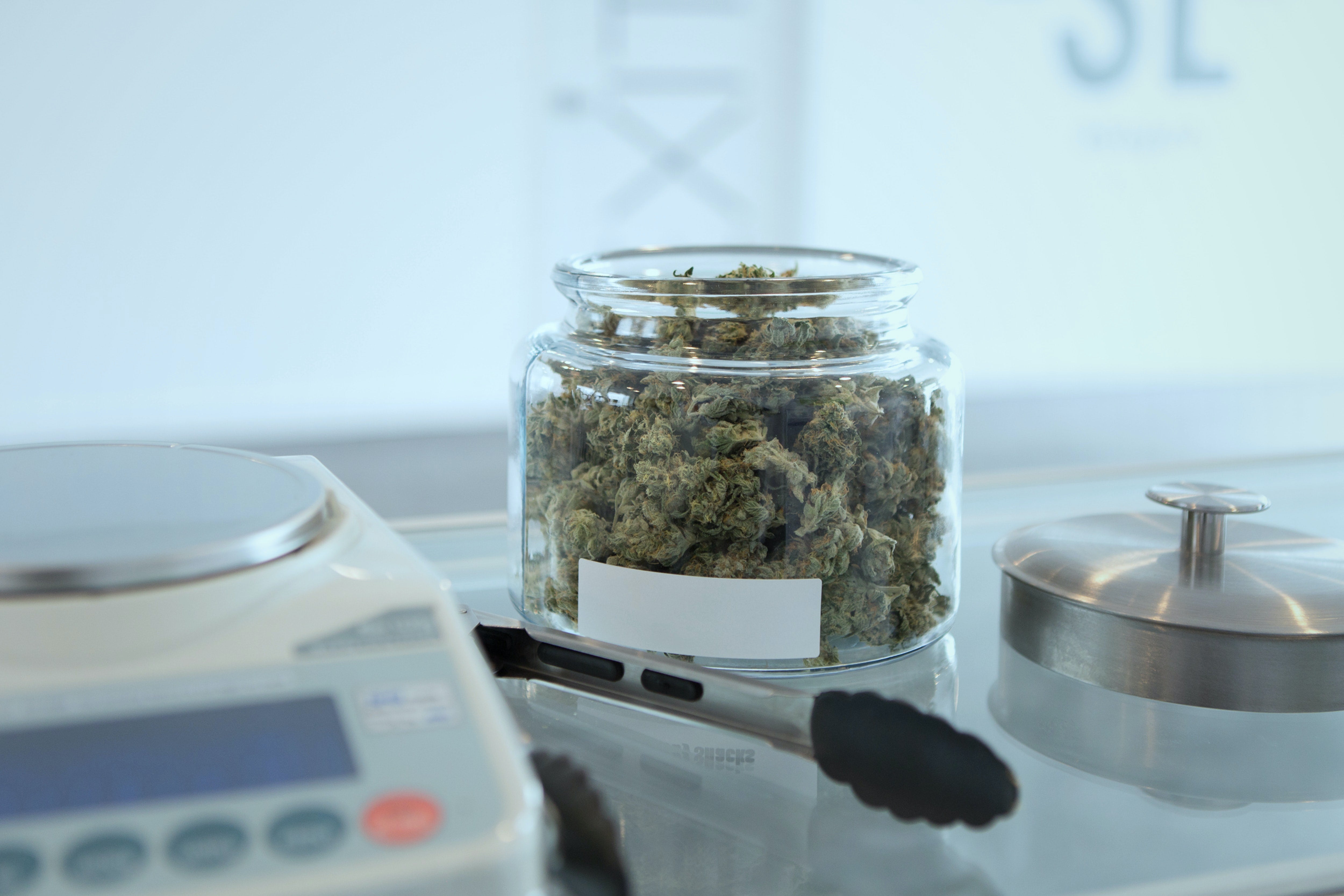 What’s The Difference Between CBD and CBG? – E10 Labs